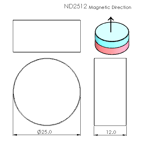 N52 Neodymium magnet disc : 25mm OD x 12mm T