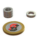 N52 Neodymium magnet ring : 12mm OD x 7.3mm ID x 3mm H - The Quaint Magnet Shop of Supreme Magnets