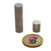N52 Neodymium magnet cylinder : 10mm OD x 12mm H - The Quaint Magnet Shop